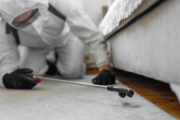 Professional Bed Bug Control technician working in Oglesby, IL